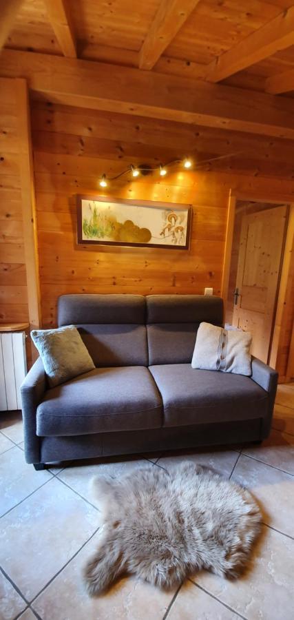 Bienvenue Dans Notre Chalet! Appartement Les Sitelles Le Grand-Bornand Exterior photo